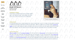 Desktop Screenshot of boxers.net